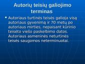 Autorių teisės. Programinės įrangos apsauga 10 puslapis