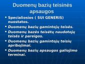 Autorių teisės. Programinės įrangos apsauga 11 puslapis