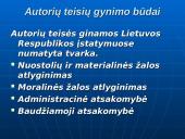 Autorių teisės. Programinės įrangos apsauga 13 puslapis