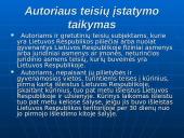 Autorių teisės. Programinės įrangos apsauga 2 puslapis