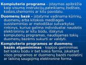 Autorių teisės. Programinės įrangos apsauga 3 puslapis