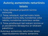 Autorių teisės. Programinės įrangos apsauga 5 puslapis