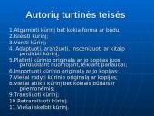 Autorių teisės. Programinės įrangos apsauga 6 puslapis