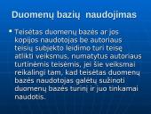 Autorių teisės. Programinės įrangos apsauga 9 puslapis