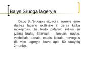 Balys Sruoga biografija 20 puslapis