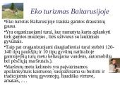 Baltarusija 13 puslapis
