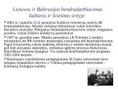 Baltarusija 8 puslapis