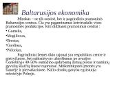 Baltarusija 9 puslapis