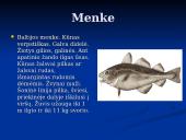 Pagrindiniai faktai apie Baltijos jūrą 11 puslapis