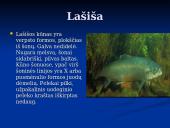 Pagrindiniai faktai apie Baltijos jūrą 12 puslapis