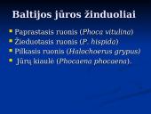 Pagrindiniai faktai apie Baltijos jūrą 14 puslapis