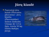 Pagrindiniai faktai apie Baltijos jūrą 16 puslapis