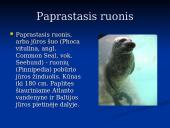 Pagrindiniai faktai apie Baltijos jūrą 18 puslapis