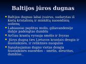 Pagrindiniai faktai apie Baltijos jūrą 6 puslapis