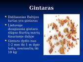 Pagrindiniai faktai apie Baltijos jūrą 8 puslapis