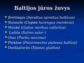 Pagrindiniai faktai apie Baltijos jūrą 9 puslapis