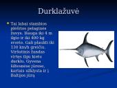 Pagrindiniai faktai apie Baltijos jūrą 10 puslapis