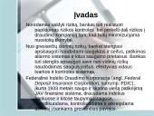 Bankinių rizikų draudimo ypatumai 2 puslapis