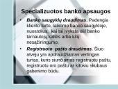 Bankinių rizikų draudimo ypatumai 12 puslapis