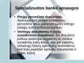 Bankinių rizikų draudimo ypatumai 13 puslapis
