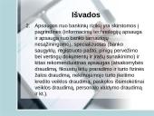 Bankinių rizikų draudimo ypatumai 16 puslapis