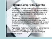 Bankinių rizikų draudimo ypatumai 6 puslapis