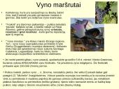 Etninis turizmas Baskijoje 14 puslapis