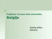 Belgijos ekonomika