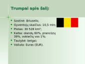 Belgijos ekonomika 2 puslapis