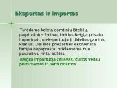 Belgijos ekonomika 11 puslapis