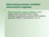 Belgijos ekonomika 16 puslapis