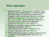 Belgijos ekonomika 5 puslapis