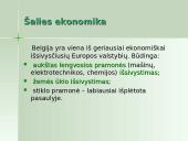 Belgijos ekonomika 8 puslapis