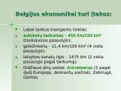 Belgijos ekonomika 9 puslapis