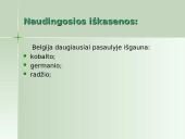 Belgijos ekonomika 10 puslapis