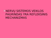 Bendra refleksinių judesių charakteristika 2 puslapis