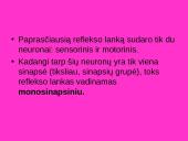 Bendra refleksinių judesių charakteristika 11 puslapis