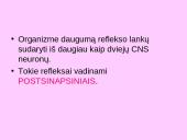 Bendra refleksinių judesių charakteristika 12 puslapis