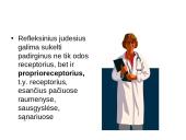 Bendra refleksinių judesių charakteristika 13 puslapis