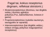 Bendra refleksinių judesių charakteristika 15 puslapis