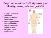 Bendra refleksinių judesių charakteristika 16 puslapis