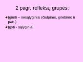 Bendra refleksinių judesių charakteristika 5 puslapis
