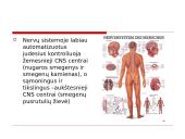Bendra refleksinių judesių charakteristika 7 puslapis