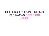 Bendra refleksinių judesių charakteristika 9 puslapis