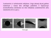 Bernulio lygtis, jos išvados ir praktinis taikymas. Laminarinis ir turbulentinis tekėjimas 6 puslapis