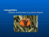 Biologinės įvairovės apžvalga Utenos rajone 11 puslapis