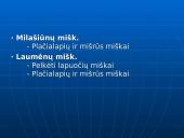 Biologinės įvairovės apžvalga Utenos rajone 9 puslapis