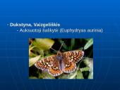 Biologinės įvairovės apžvalga Utenos rajone 10 puslapis