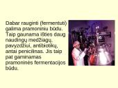 Biotechnologijų įvadas 3 puslapis