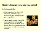 Biotechnologijų įvadas 6 puslapis